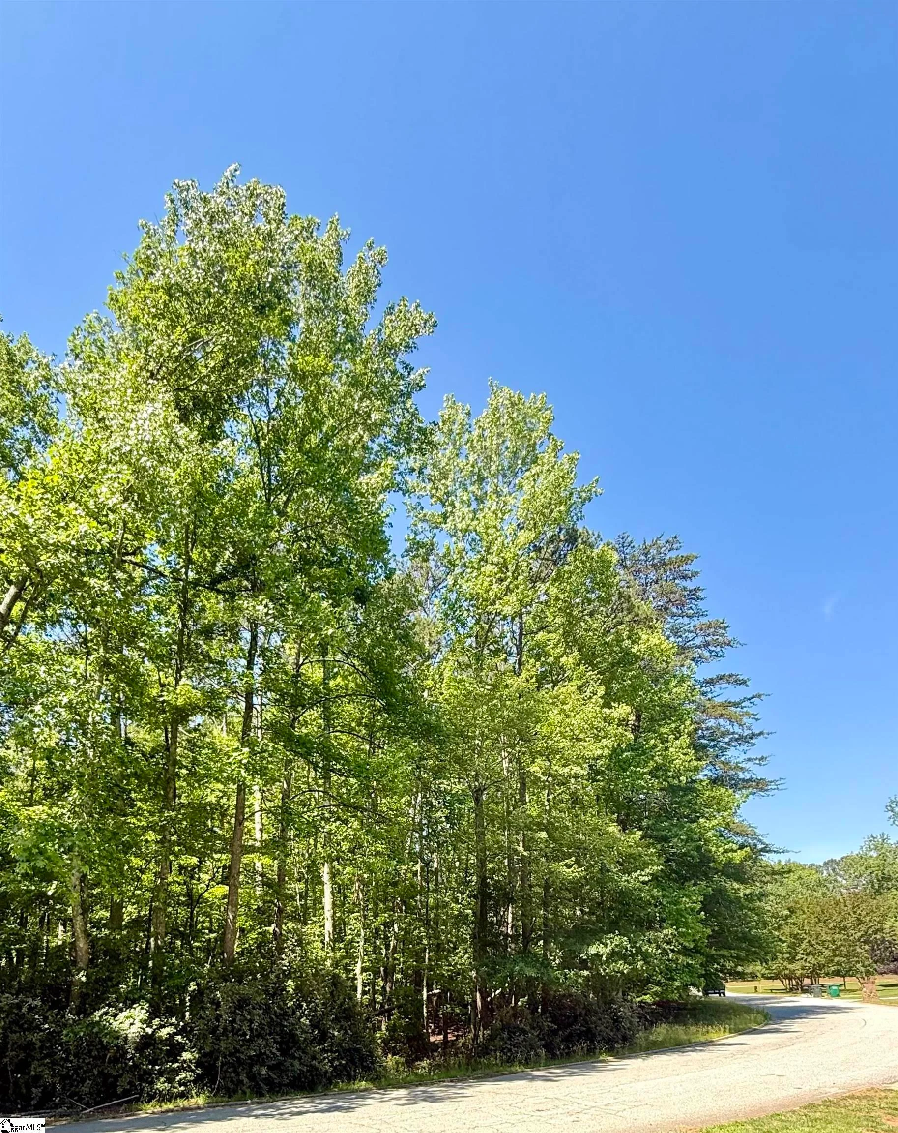 00 Woodwind Drive