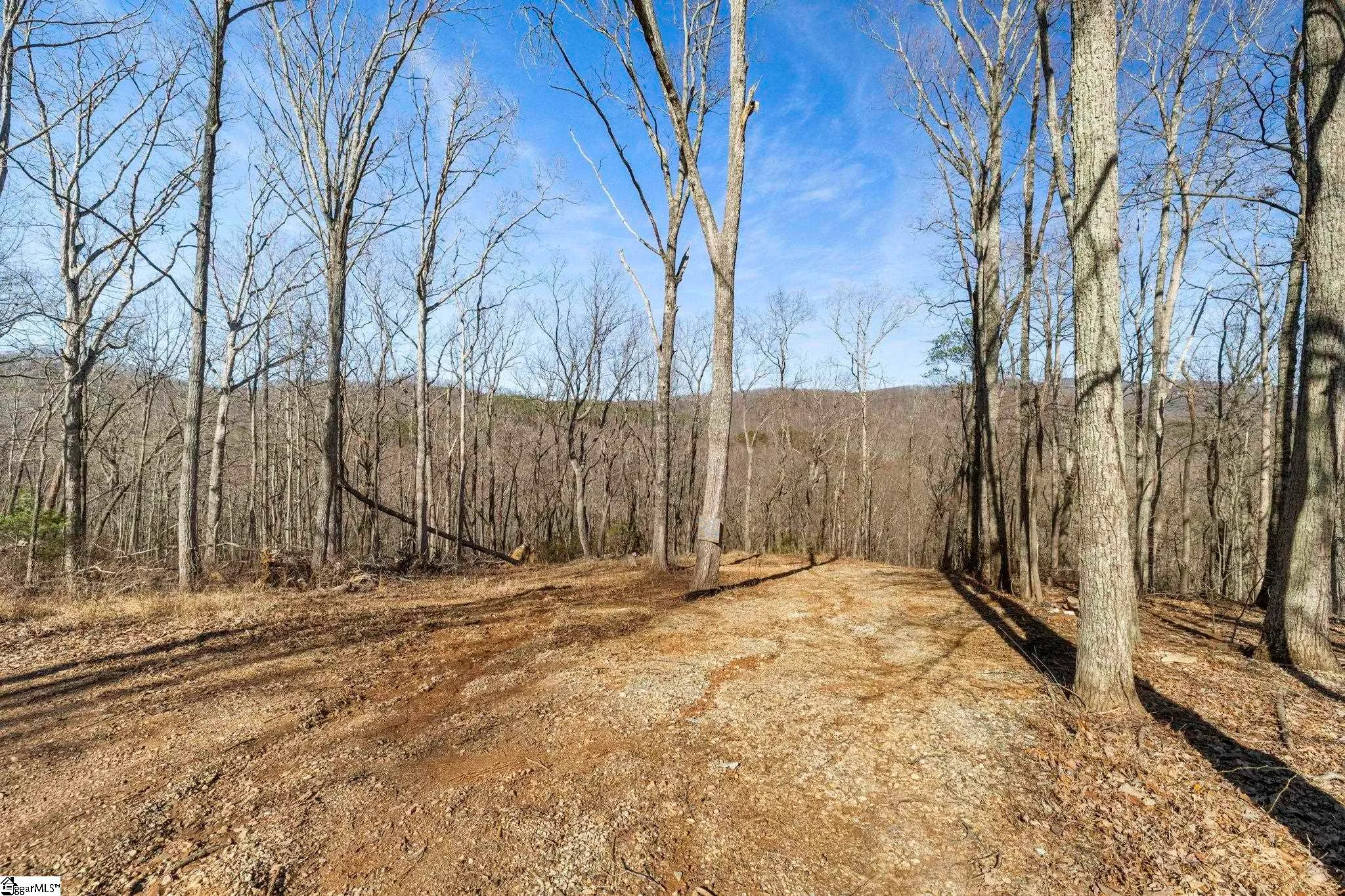 314 Mountain Lake Lane