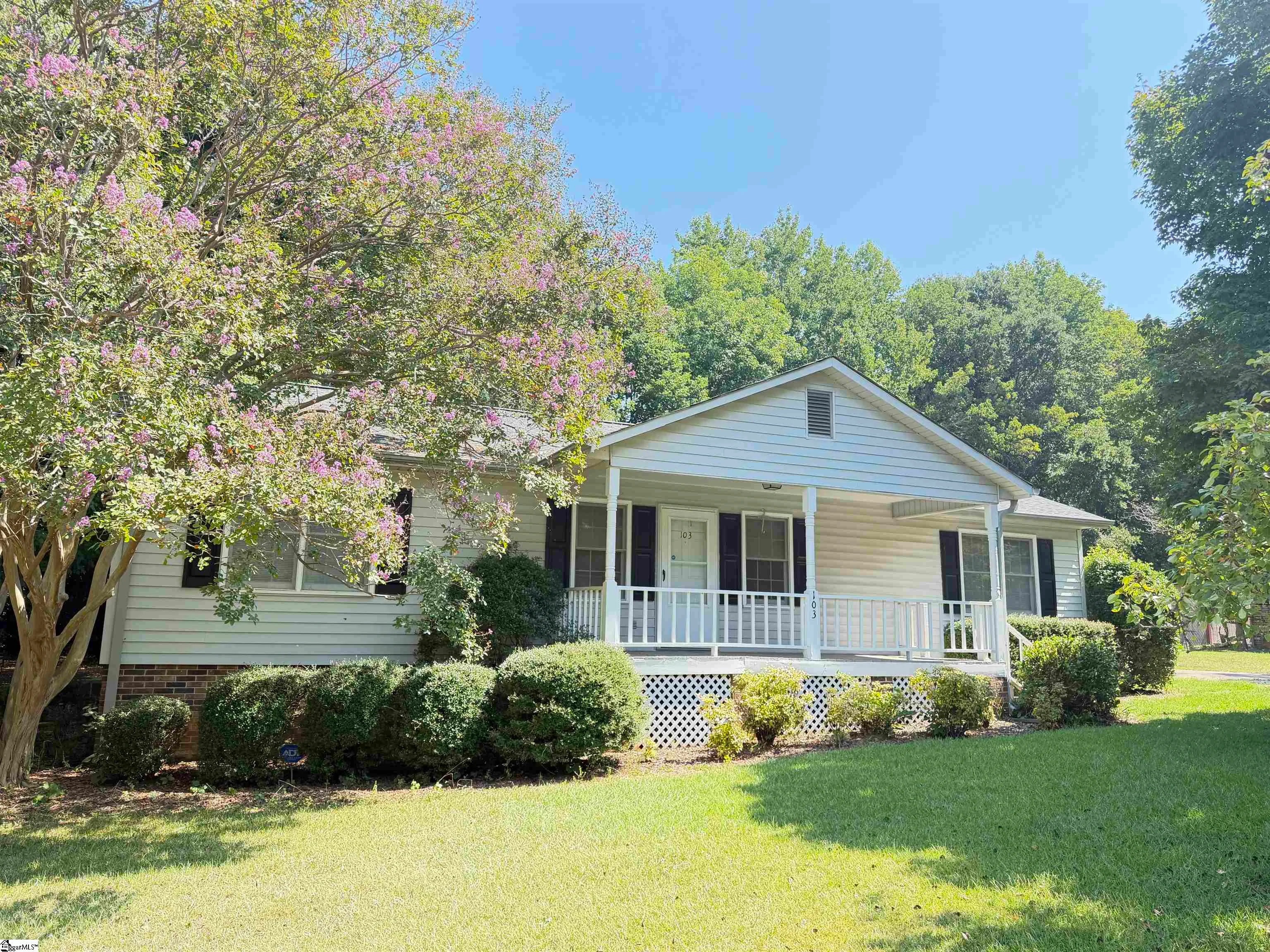 103 David Street