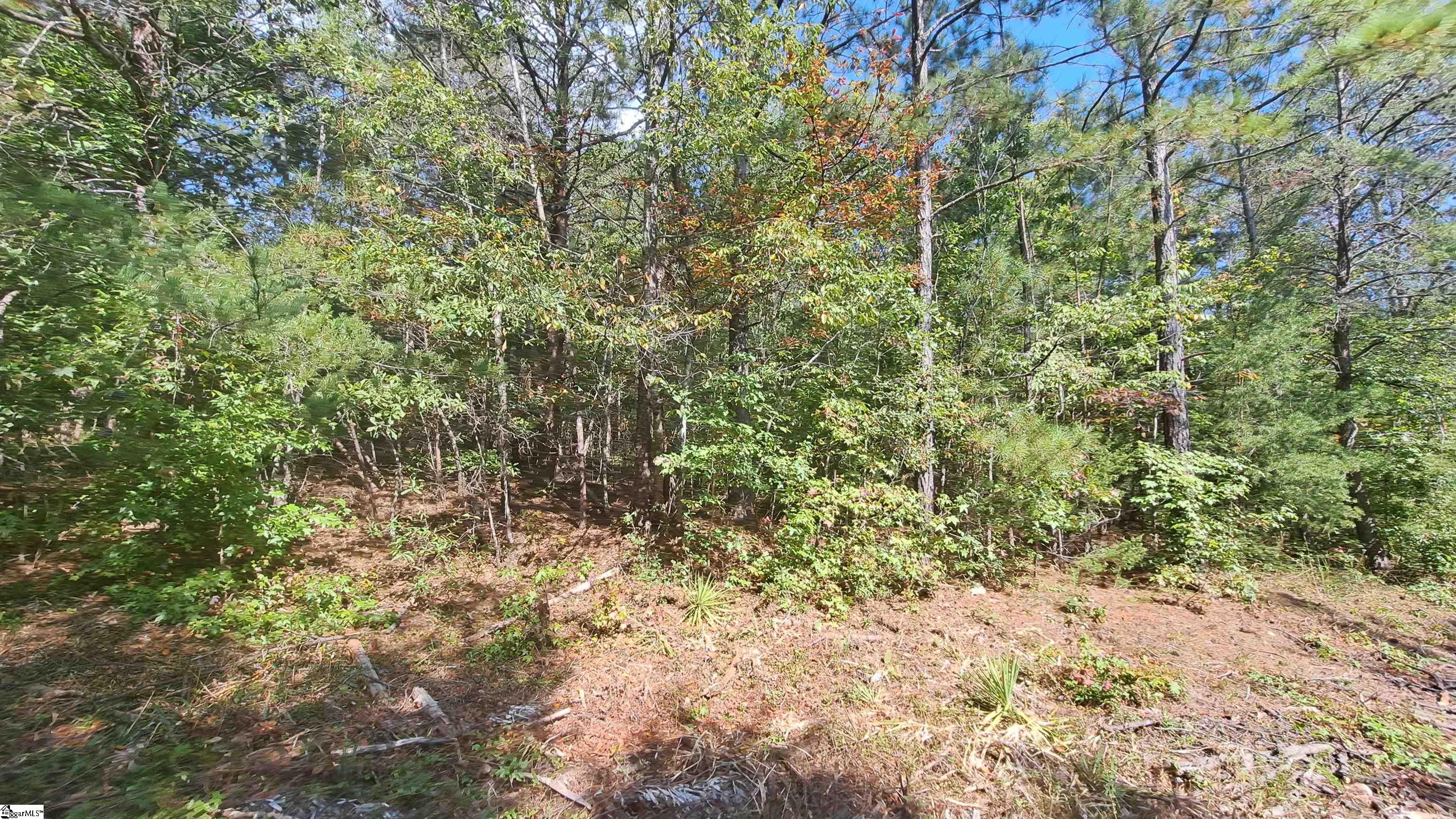 726 Bill Pearson Road