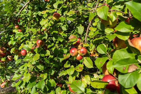 Tiny photo for 6022 Raleigh St, Duluth, MN 55807 (MLS # 6122083)