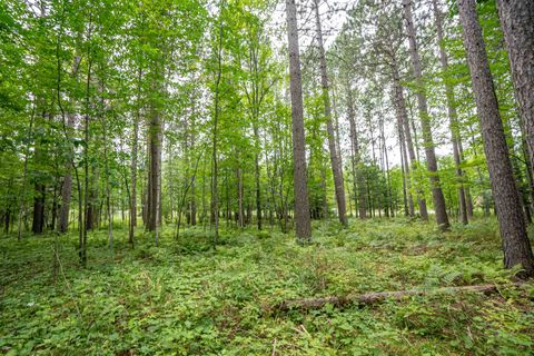 Tiny photo for 51 Lindahl Rd, Duluth, MN 55811 (MLS # 6120486)