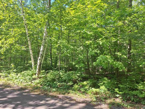 34XXX Bear Paw Tr Bayfield WI 54814