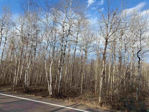 Photo of XXXX Ugstad Rd, Hermantown, MN 55811 (MLS # 6107826)