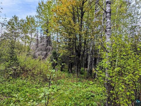 Tiny photo for 37 W Lismore Rd, Duluth, MN 55803 (MLS # 6120240)