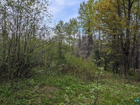 Tiny photo for 37 W Lismore Rd, Duluth, MN 55803 (MLS # 6120240)