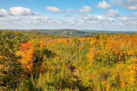 Tiny photo for TBD Hwy 135, Biwabik, MN 55708 (MLS # 6122108)