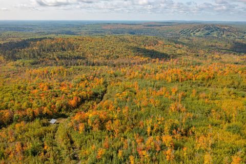 Tiny photo for TBD Hwy 135, Biwabik, MN 55708 (MLS # 6122108)