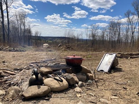 Tiny photo for TBD Hwy 135, Biwabik, MN 55708 (MLS # 6122108)