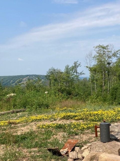 Tiny photo for TBD Hwy 135, Biwabik, MN 55708 (MLS # 6122108)