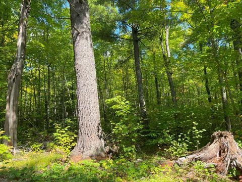 Tiny photo for TBD Hwy 135, Biwabik, MN 55708 (MLS # 6122108)