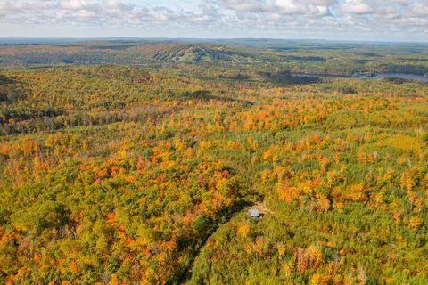 Tiny photo for TBD Hwy 135, Biwabik, MN 55708 (MLS # 6122108)