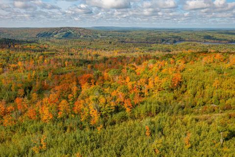 Tiny photo for TBD Hwy 135, Biwabik, MN 55708 (MLS # 6122108)