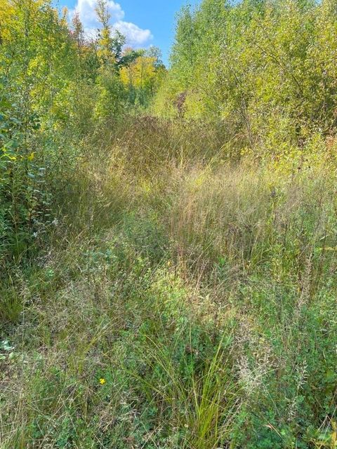 Tiny photo for TBD Hwy 135, Biwabik, MN 55708 (MLS # 6122108)