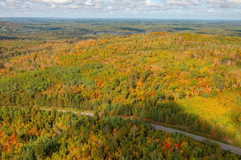 Tiny photo for TBD Hwy 135, Biwabik, MN 55708 (MLS # 6122108)