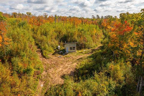 Tiny photo for TBD Hwy 135, Biwabik, MN 55708 (MLS # 6122108)