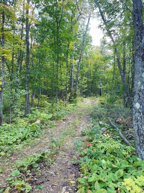 Tiny photo for TBD Hwy 135, Biwabik, MN 55708 (MLS # 6122108)