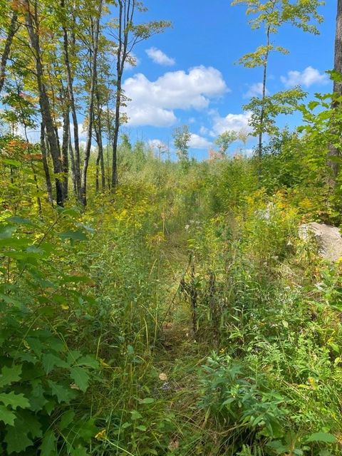 Tiny photo for TBD Hwy 135, Biwabik, MN 55708 (MLS # 6122108)