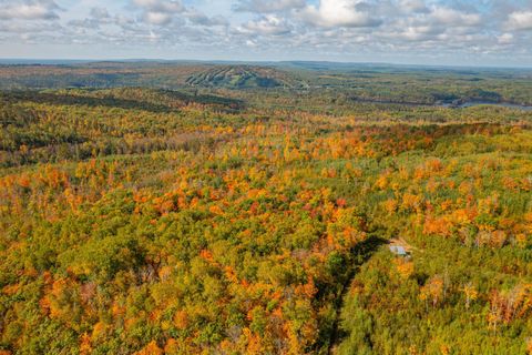 Tiny photo for TBD Hwy 135, Biwabik, MN 55708 (MLS # 6122108)