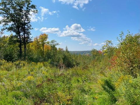 Tiny photo for TBD Hwy 135, Biwabik, MN 55708 (MLS # 6122108)