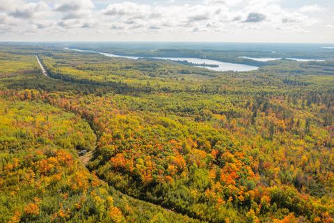 Tiny photo for TBD Hwy 135, Biwabik, MN 55708 (MLS # 6122108)