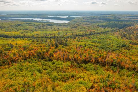 Tiny photo for TBD Hwy 135, Biwabik, MN 55708 (MLS # 6122108)