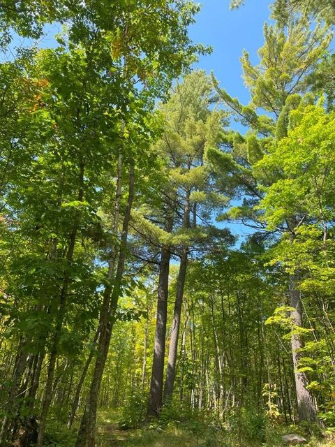 Tiny photo for TBD Hwy 135, Biwabik, MN 55708 (MLS # 6122108)