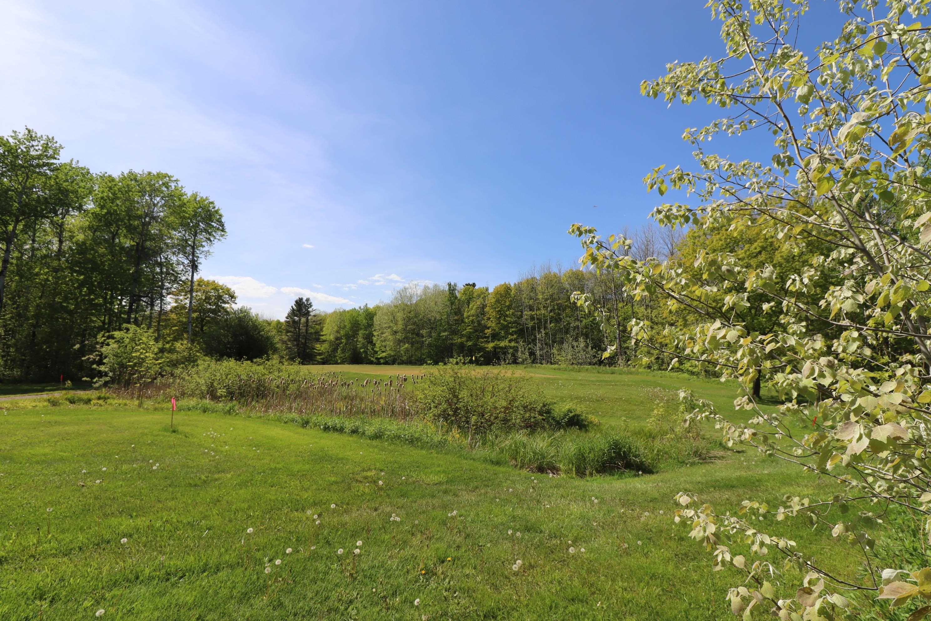Lot 38 Eagle Run