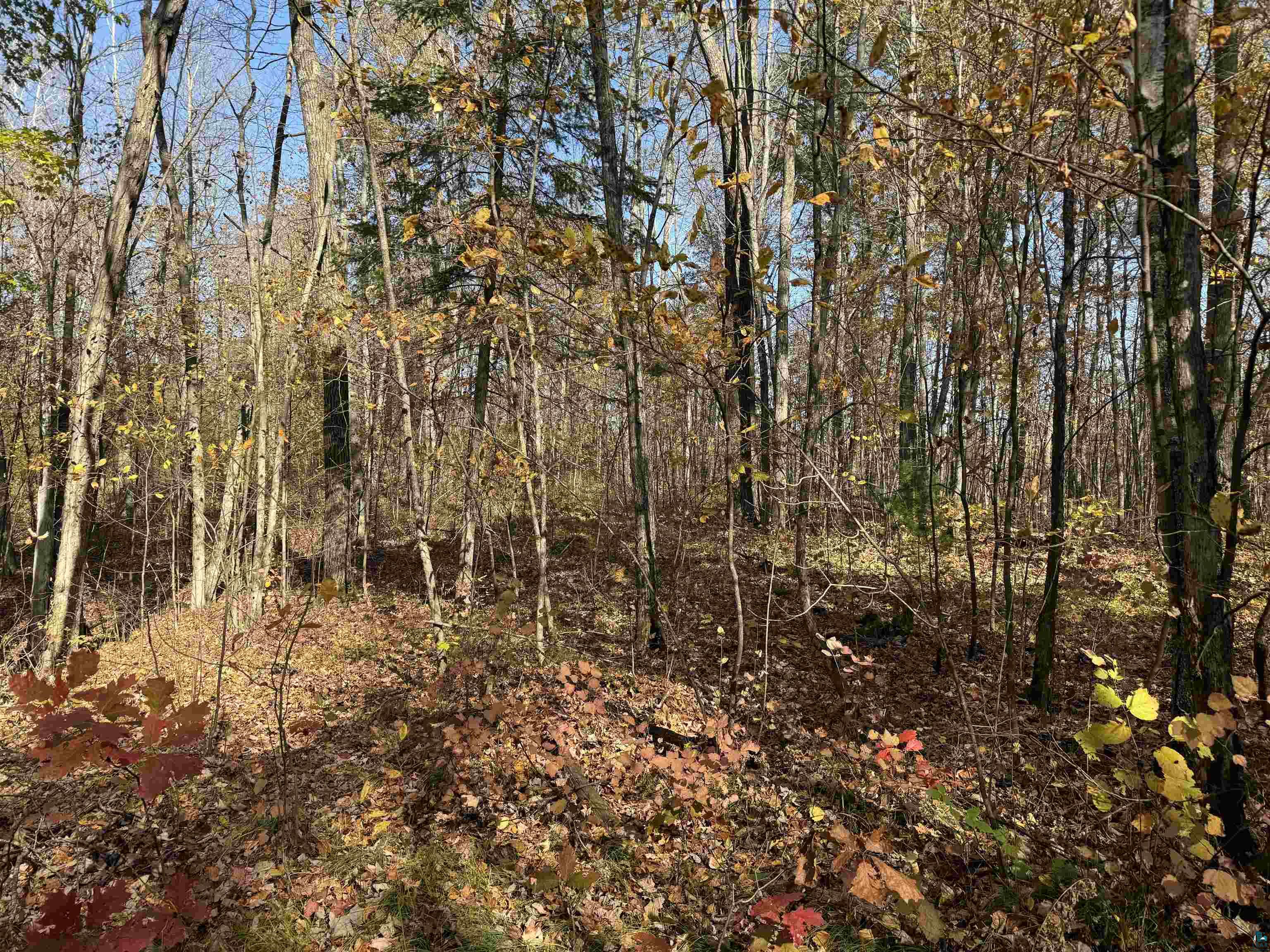 Lot 17 & 18 Sleepy Fawn Ln