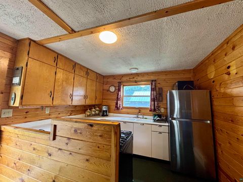 Tiny photo for 9724 Highway 1, Isabella, MN 55607 (MLS # 6119960)