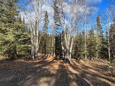 Tiny photo for 1301 W Highway 61, Grand Marais, MN 55604 (MLS # 6119218)