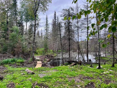 Tiny photo for TBD N White Iron Rd, Ely, MN 55731 (MLS # 6122012)