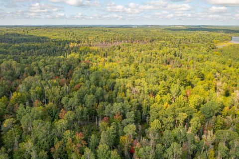 Tiny photo for TBD N White Iron Rd, Ely, MN 55731 (MLS # 6122012)