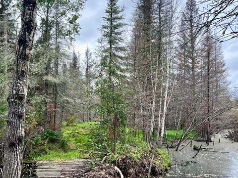 Tiny photo for TBD N White Iron Rd, Ely, MN 55731 (MLS # 6122012)