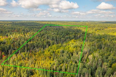 Tiny photo for TBD N White Iron Rd, Ely, MN 55731 (MLS # 6122012)