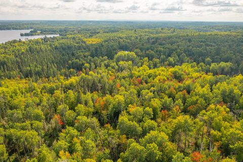 Photo of TBD N White Iron Rd, Ely, MN 55731 (MLS # 6122012)