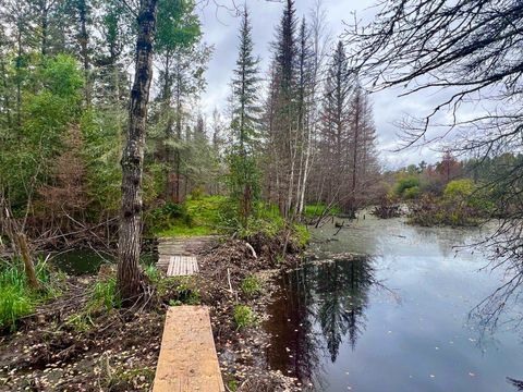 Tiny photo for TBD N White Iron Rd, Ely, MN 55731 (MLS # 6122012)