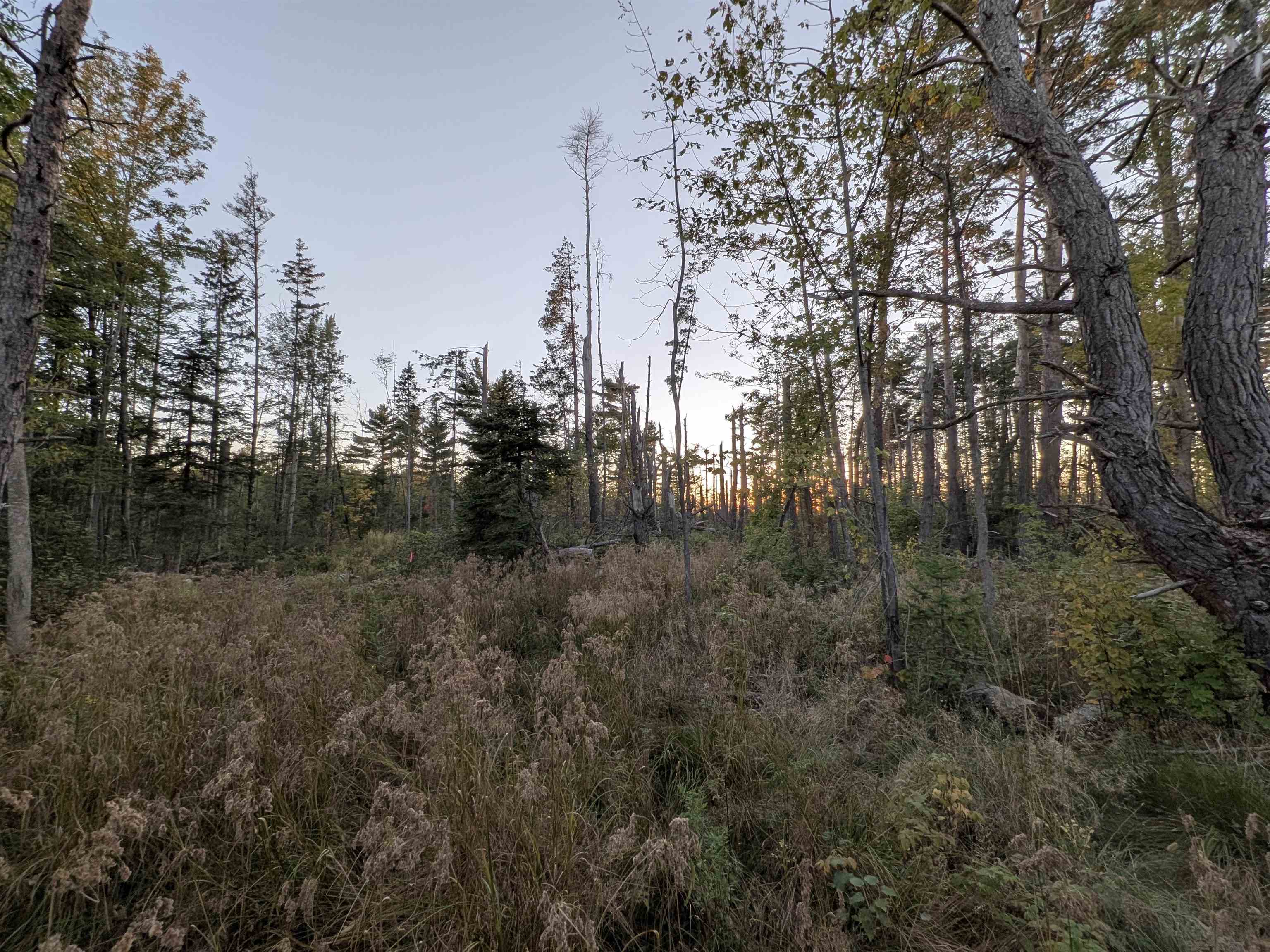 9.58 Acres on Peterson Hill Rd
