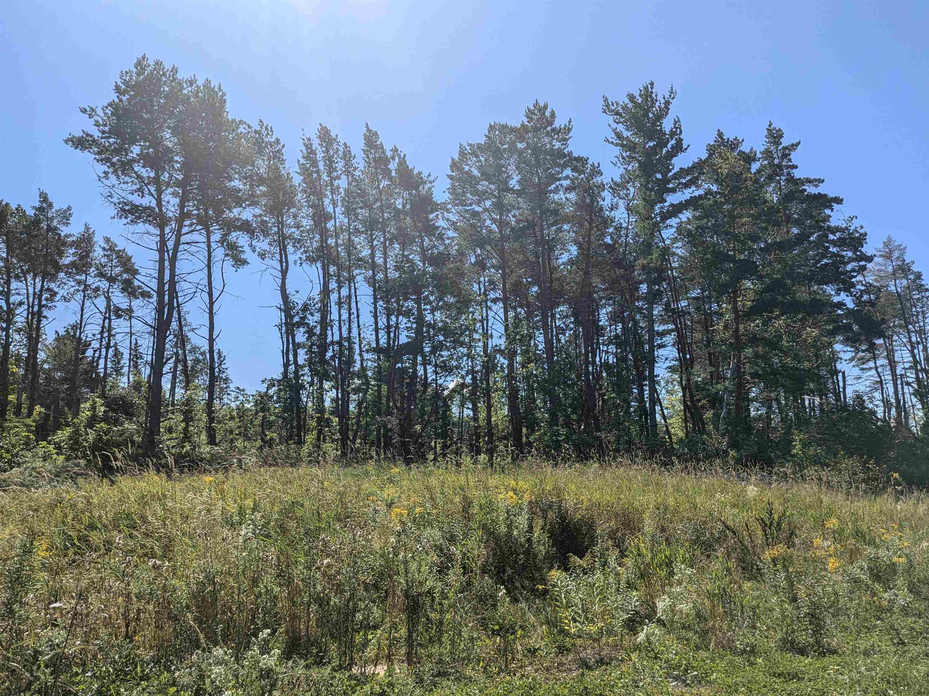 9.58 Acres on Peterson Hill Rd