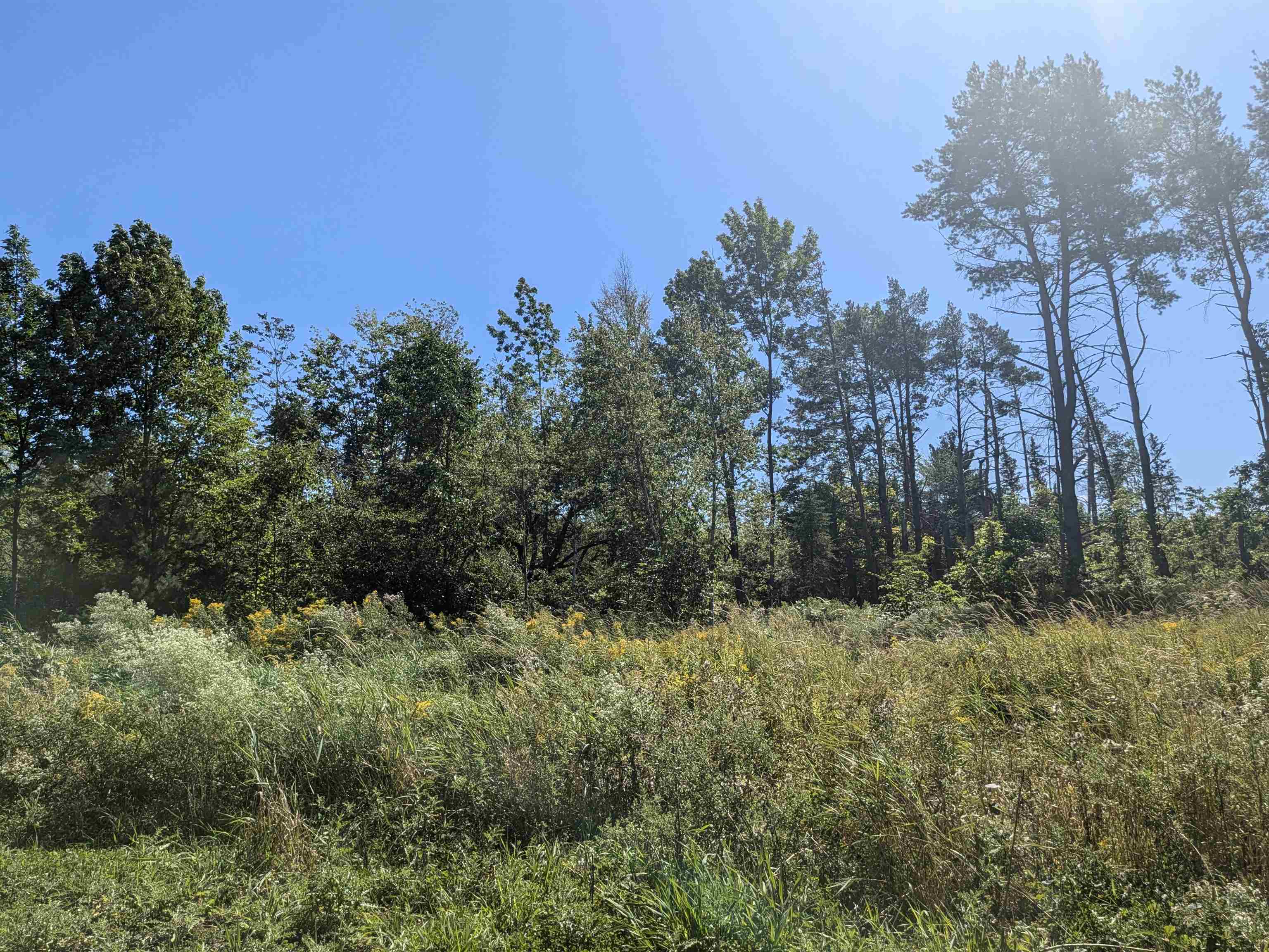 9.58 Acres on Peterson Hill Rd