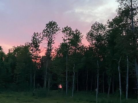 Tiny photo for 10943 Hwy 23, Orr, MN 55771 (MLS # 6122019)