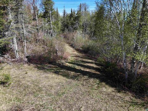 Tiny photo for 1808 Tom Lake Rd, Hovland, MN 55606 (MLS # 6119194)