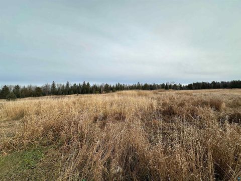 Tiny photo for 8874 Highway 25, Angora, MN 55703 (MLS # 6119188)