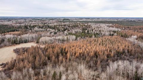 Tiny photo for 8874 Highway 25, Angora, MN 55703 (MLS # 6119188)