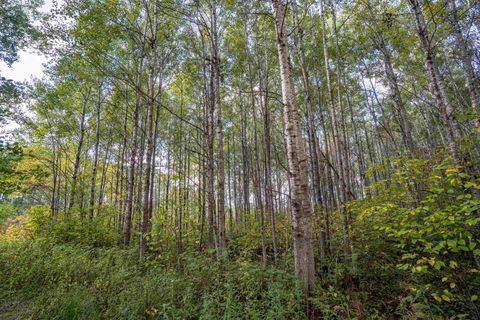 Tiny photo for 11043 Hwy 8, Floodwood, MN 55736 (MLS # 6122082)