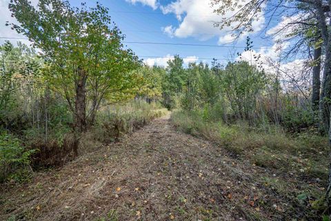 Tiny photo for 11043 Hwy 8, Floodwood, MN 55736 (MLS # 6122082)