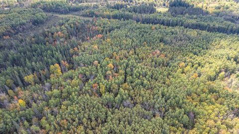 Tiny photo for 11043 Hwy 8, Floodwood, MN 55736 (MLS # 6122082)