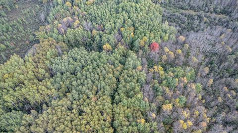 Tiny photo for 11043 Hwy 8, Floodwood, MN 55736 (MLS # 6122082)