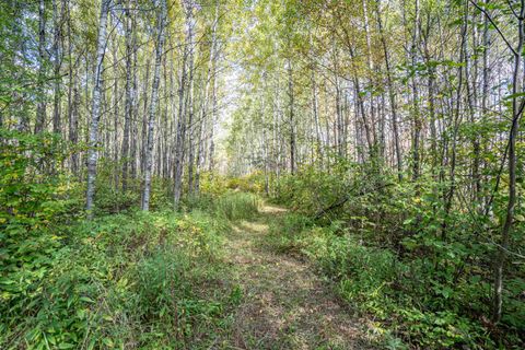 Tiny photo for 11043 Hwy 8, Floodwood, MN 55736 (MLS # 6122082)