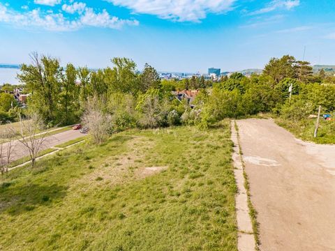 Tiny photo for xxx E 2nd St, Duluth, MN 55812 (MLS # 6117537)